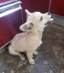 873968