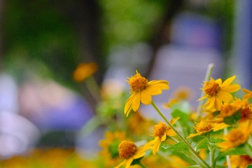 7D75D8FC-AFB2-4510-8DF3-DD008454CEEF/L0/001