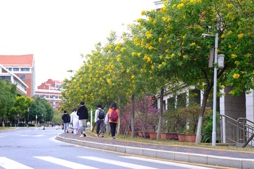 F7D438DF-3A88-46E9-981C-12AA10D05611/L0/001