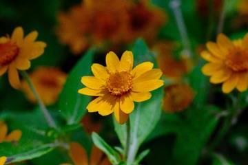 84069A7B-51A6-43A9-927A-9ABFC46B5DDD/L0/001