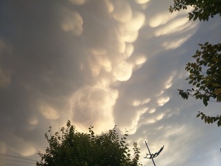 1307519
