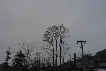 F582BD19-FF4E-4D70-8B1E-E3CFC84B2274/L0/001