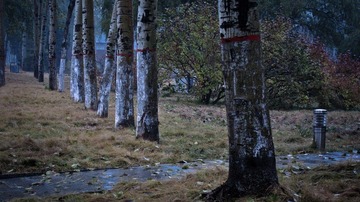IMG_0258.jpg
