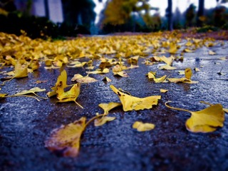 IMG_0293.jpg