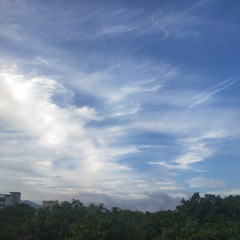 6629317