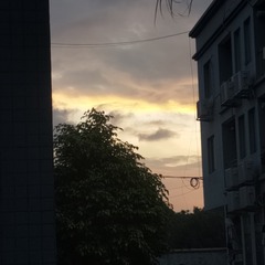 6523164
