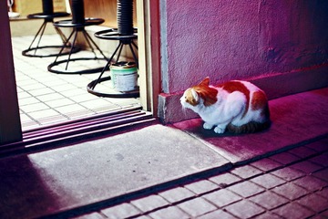 IMG_7823副本.jpg