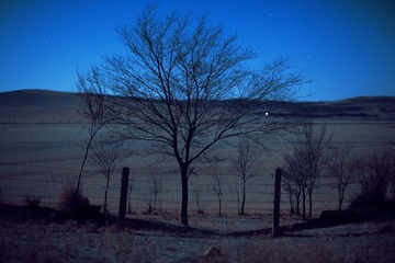 IMG_4737.jpg
