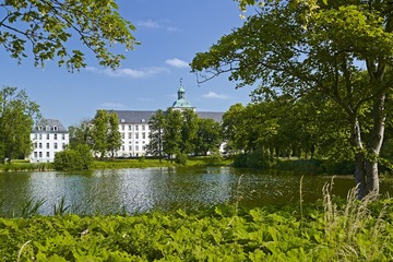 IMG_4891.jpg