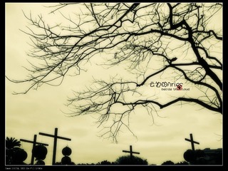 3B95C7A0-A16B-4B0C-B19D-CA02CE14B6C2/L0/001
