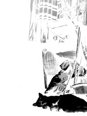 9D37AD8B-80A4-4831-BAA7-BB58229EA54F/L0/001