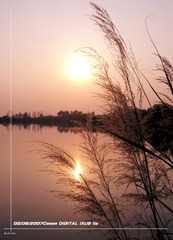 825C1573-5415-443F-908C-2C7DC811A854/L0/001