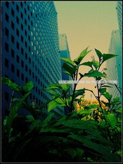 F5BC2E26-FA16-4095-846D-2F53DB7A51E5/L0/001