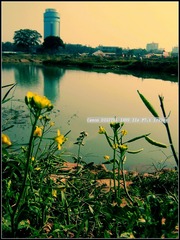 4CDFC273-6CE5-43CA-963B-935F8DE4AE2A/L0/001