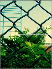 2BC8C84E-30BC-458E-B360-58175FF020D8/L0/001