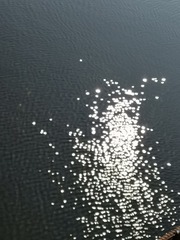 10222