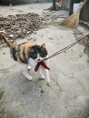 10167