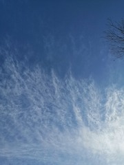 10409