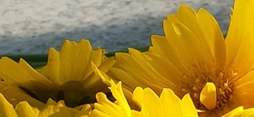 24603