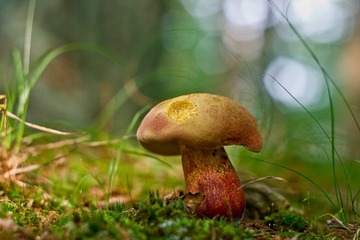 5F504A07-E3F7-4B28-93E5-AE16E4C074A1/L0/001