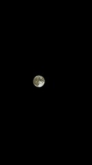 96095CEF-2A0D-4690-A733-3EFC3D53B4E5/L0/001