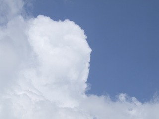 155511