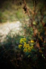 C0DE9DB0-D5B3-4416-BA0B-32E7CA4D2802/L0/001