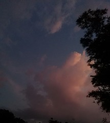 527489