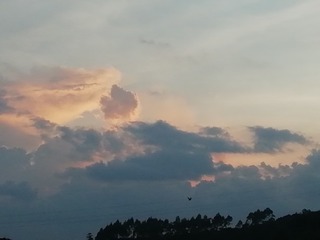 527439