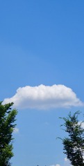 C070BF91-0928-4080-95AC-24AA1B3769BC/L0/001