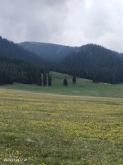 1000008844