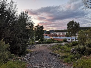 65447