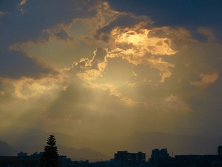 B5529D5D-C44F-481F-93D6-826406B6029F/L0/001