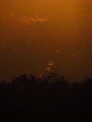 293060