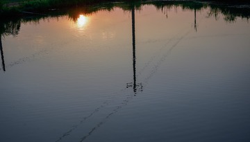 2169377