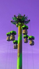 8E09EC77-9C81-4E98-A78F-10B33C0D5C7C/L0/001