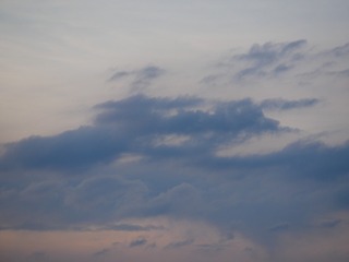 8458FC41-40FC-40F3-B0B0-37BDD2B19D96/L0/001