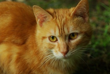 IMGP9612.jpg