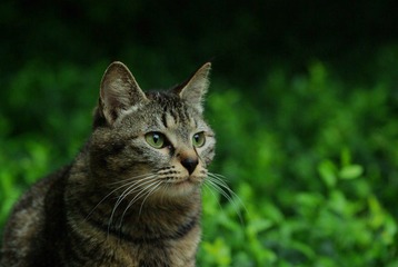 IMGP9661.jpg