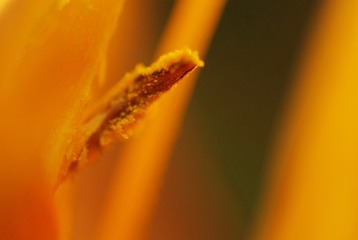 IMGP0028.jpg