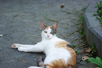 IMGP1453.jpg
