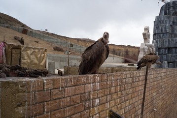 The Master of Sky Burial-22
