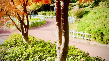 5EEC253C-1E91-475D-A353-9F43318B00D9/L0/001