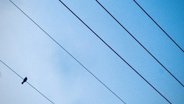 50560D0E-719D-4664-8D93-17027F7C2880/L0/001