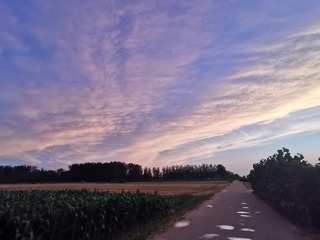 1000046448