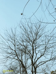647FFF3D-8F2D-47B0-BBC7-03ACF9C4A365/L0/001