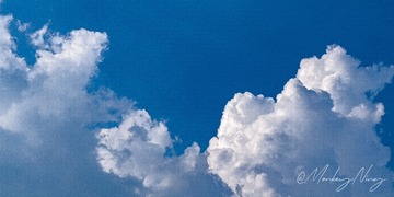 B50D8CCB-ED9F-4FB9-AB64-0CDFEC024249/L0/001