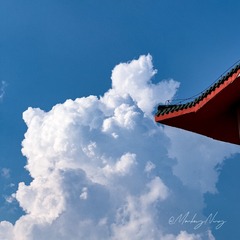 2D862C2A-112A-455E-BD5C-F571EBA4A983/L0/001