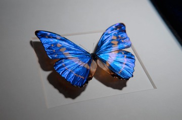 AB3E7DB6-07C6-495F-B1E5-5DB7FC3461D1/L0/001