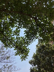 E0A6CD2F-F39F-46D7-B9B8-F28417B4452F/L0/001